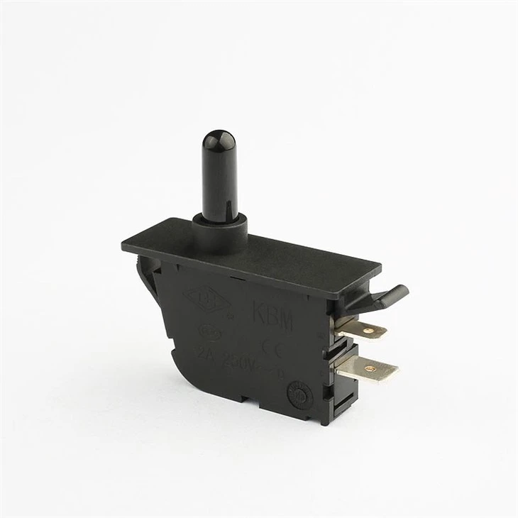 fridge door switch