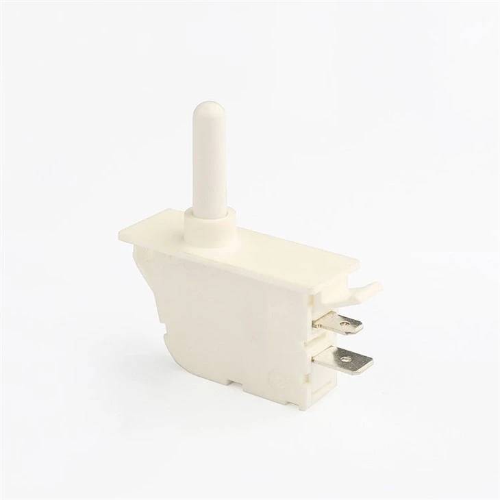 2 pin push button switch